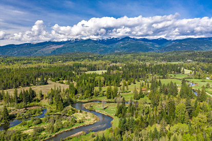 The Wetlands and Grouse Creek